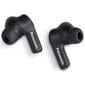 Täielikult juhtmevabad kõrvasisesed kõrvaklapid Panasonic : RZ-B210WDE-K hind ja info | Kõrvaklapid | kaup24.ee