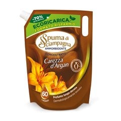 Кондиционер для белья Spuma di Sciampagna CAREZZA D'ARGAN REFILL 1200мл цена и информация | Моющие средства | kaup24.ee