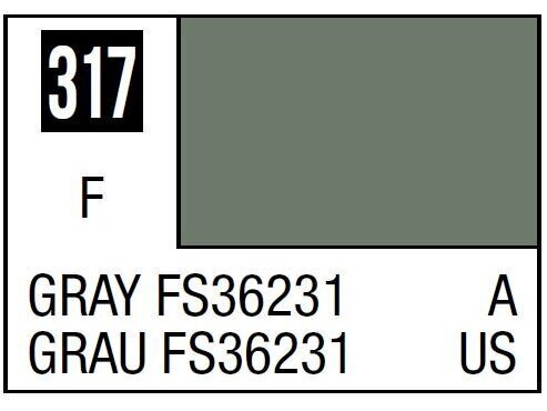 Mr.Hobby - Mr.Color C-317 FS36231 Gray, 10ml цена и информация | Kunstitarbed, voolimise tarvikud | kaup24.ee