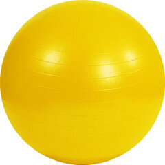 Võimlemispall pumbaga, 45 cm, mitteplahvatusohtlik цена и информация | Гимнастические мячи | kaup24.ee