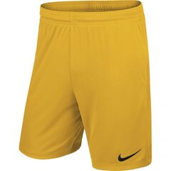 Спортивные шорты мужские Nike PARK II M 725887 739, желтые цена и информация | Мужская спортивная одежда | kaup24.ee