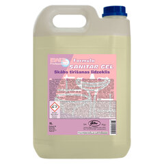 Puhastusvahend Ewol Professional Formula Sanitar Gel, 5L hind ja info | Puhastusvahendid | kaup24.ee