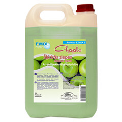 Vedelseep Ewol Extra S Apple, 5L hind ja info | Esmaabi | kaup24.ee