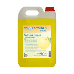 Жидкое мыло EWOL Formula S Citrus, 5 л цена и информация | Мыло | kaup24.ee