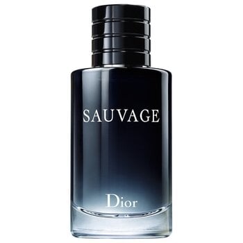 Туалетная вода Dior Sauvage EDT для мужчин, 60 мл цена и информация | Мужские духи | kaup24.ee