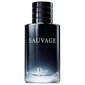 Meeste tualettvesi Christian Dior Sauvage EDT, 60 ml цена и информация | Meeste parfüümid | kaup24.ee