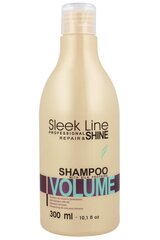 Stapiz Sleek Line Volume šampoon 300 ml цена и информация | Шампуни | kaup24.ee