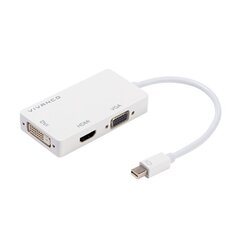 Adapter Vivanco Mini DisplayPort, 0.1 m цена и информация | Адаптеры и USB-hub | kaup24.ee