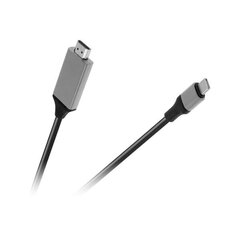 Kaabel, HDMI x USB C, 2 m hind ja info | Kaablid ja juhtmed | kaup24.ee