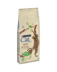 Purina сухой корм Cat Chow Adult с уткой, 15 кг цена и информация | Сухой корм для кошек | kaup24.ee