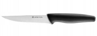 Нож для стейка Ambition Aspiro, 11,5 см цена и информация | Ножи и аксессуары для них | kaup24.ee