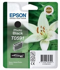 Epson оригинал чернила C13T05914010 T0591 - цена и информация | Картриджи для струйных принтеров | kaup24.ee