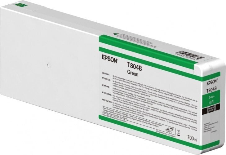 Epson Ink Green (C13T804B00), цена и информация | Tindiprinteri kassetid | kaup24.ee