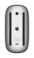 Apple Magic Mouse - Black Multi-Touch Surface - MMMQ3ZM/A hind ja info | Hiired | kaup24.ee