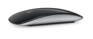 Apple Magic Mouse - Black Multi-Touch Surface - MMMQ3ZM/A цена и информация | Мыши | kaup24.ee