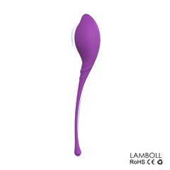 Набор вагинальных шариков женские фиолетовые цена и информация | Тренажер Satisfyer Yoni Power 1, красный цвет | kaup24.ee