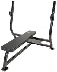 Скамейка для поднятия тяжестей / скамейка для отжиманий, FitNord цена и информация | Скамьи для тренировок | kaup24.ee