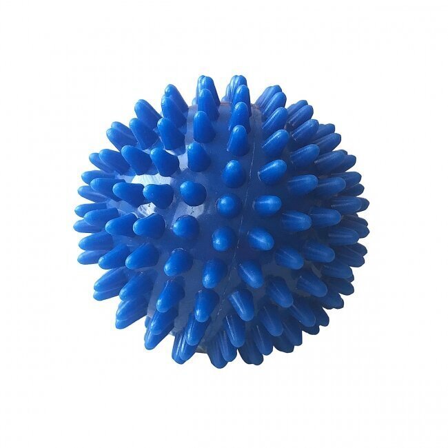 Lõõgastav massaažipall FitNord, 6 cm hind ja info | Massaažikaubad | kaup24.ee