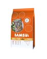 IAMS Lemmikloomatarbed internetist