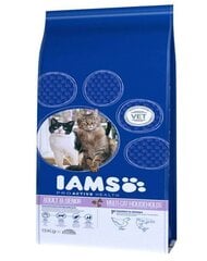 Iams ProActive Health Adult & Mature & Senior​ lõhe ja kanaga, 15 kg hind ja info | Kuivtoit kassidele | kaup24.ee