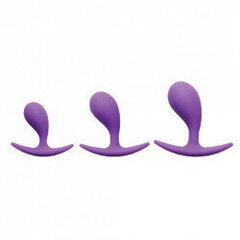 Набор анальных пробок Frisky Booty Poppers Silicone Anal Trainer Set, фиолетовый цена и информация | Анальные игрушки | kaup24.ee