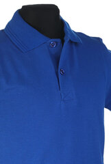 Поло футболка с короткими рукавами, синяя цена и информация | Рубашки для мальчиков | kaup24.ee