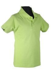Рубашка-поло с коротким рукавом цена и информация | Рубашки для мальчиков | kaup24.ee