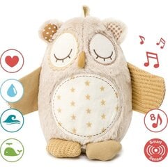 Музыкальная мягкая сова с датчиком звука Nighty Night Owl Smart Sensor, Cloud B 010086 цена и информация | Drewniana Wieża Piramida Kura Nakładanie Kolorowych Kwadratów LD-15 15276 | kaup24.ee