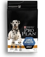 Pro Plan Dog Adult Large Athletic для большиx пород взрослых собак, 14 кг цена и информация |  Сухой корм для собак | kaup24.ee