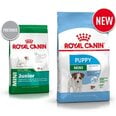 Koeratoit Royal Canin Mini Junior, 8 kg