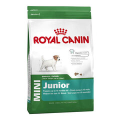 Koeratoit Royal Canin Mini Junior, 8 kg цена и информация | Сухой корм для собак | kaup24.ee