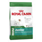Koeratoit Royal Canin Mini Junior, 8 kg цена и информация | Kuivtoit koertele | kaup24.ee