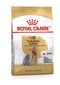 Koeratoit Royal Canin Yorkshire Terrier Adult, 7,5 kg hind ja info | Kuivtoit koertele | kaup24.ee