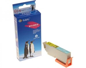G&G analoog tindikassett Epson 2435XLLC - hind ja info | Tindiprinteri kassetid | kaup24.ee