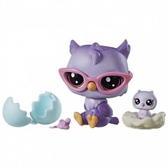 Пары животных Littlest Pet Shop, B9358EU4 цена и информация | Игрушки для девочек | kaup24.ee