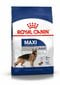 Koeratoit Royal Canin Maxi Adult, 15 kg цена и информация | Kuivtoit koertele | kaup24.ee