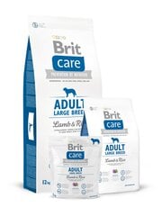 Kuivtoit koertele Brit Care Adult Large Breed Lamb & Rice 12 kg цена и информация | Сухой корм для собак | kaup24.ee