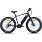 Elektriline fatbike FitNord Rumble 1000 (1008 Wh aku), raam 42 cm hind ja info | Elektrirattad | kaup24.ee