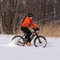 Elektriline fatbike FitNord Rumble 1000 (1008 Wh aku), raam 42 cm hind ja info | Elektrirattad | kaup24.ee