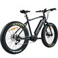 Elektriline fatbike FitNord Rumble 1000 (1008 Wh aku), raam 42 cm hind ja info | Elektrirattad | kaup24.ee