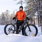 Elektriline fatbike FitNord Rumble 1000 (1008 Wh aku), raam 42 cm hind ja info | Elektrirattad | kaup24.ee