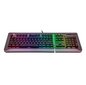 Klaviatuur Thermaltake Level 20 RGB Titanium Cherry MX hind ja info | Klaviatuurid | kaup24.ee