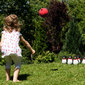 Bowling Pingviinid Schildkrot hind ja info | Mänguasjad (vesi, rand ja liiv) | kaup24.ee