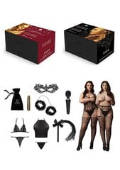 Le Desir seksitarvete kalender Queen Size, 10 tk hind ja info | Sekslelude komplektid | kaup24.ee