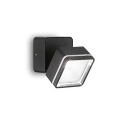 Настенный светильник OMEGA_AP_SQUARE_NERO_4000K цена и информация | Уличное освещение | kaup24.ee