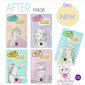 Pärast reisi (After Mask Sheet) 16 ml hind ja info | Näomaskid, silmamaskid | kaup24.ee