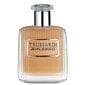 Trussardi Riflesso EDT meestele 30 ml цена и информация | Meeste parfüümid | kaup24.ee