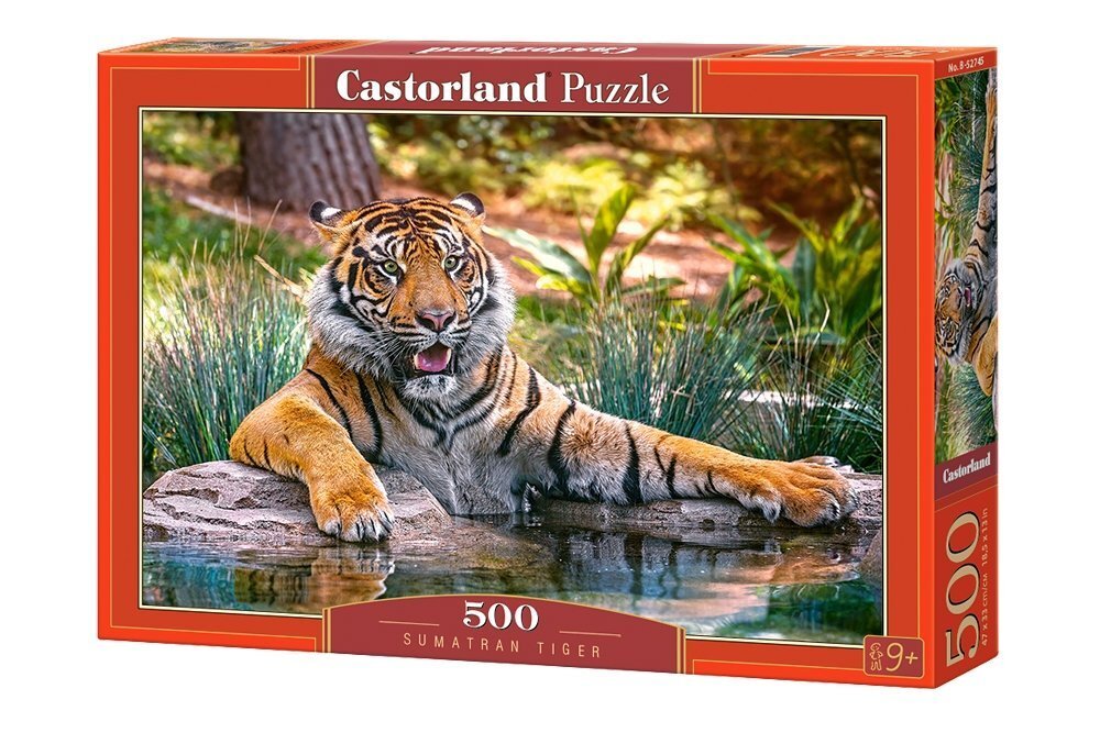 Pusle Puzzle Castorland Sumatran Tiger, 500 tk цена и информация | Pusled | kaup24.ee