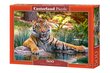 Pusle Puzzle Castorland Sumatran Tiger, 500 tk hind ja info | Pusled | kaup24.ee