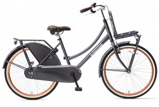 Детский велосипед Popal Daily Dutch Basic 24”, синий цена и информация | Велосипеды | kaup24.ee